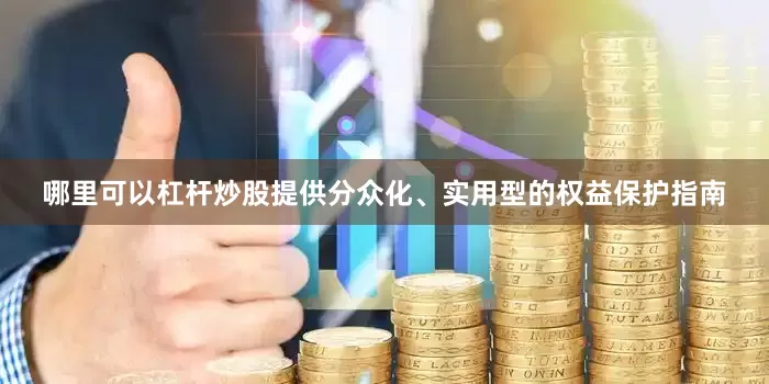 哪里可以杠杆炒股提供分众化、实用型的权益保护指南
